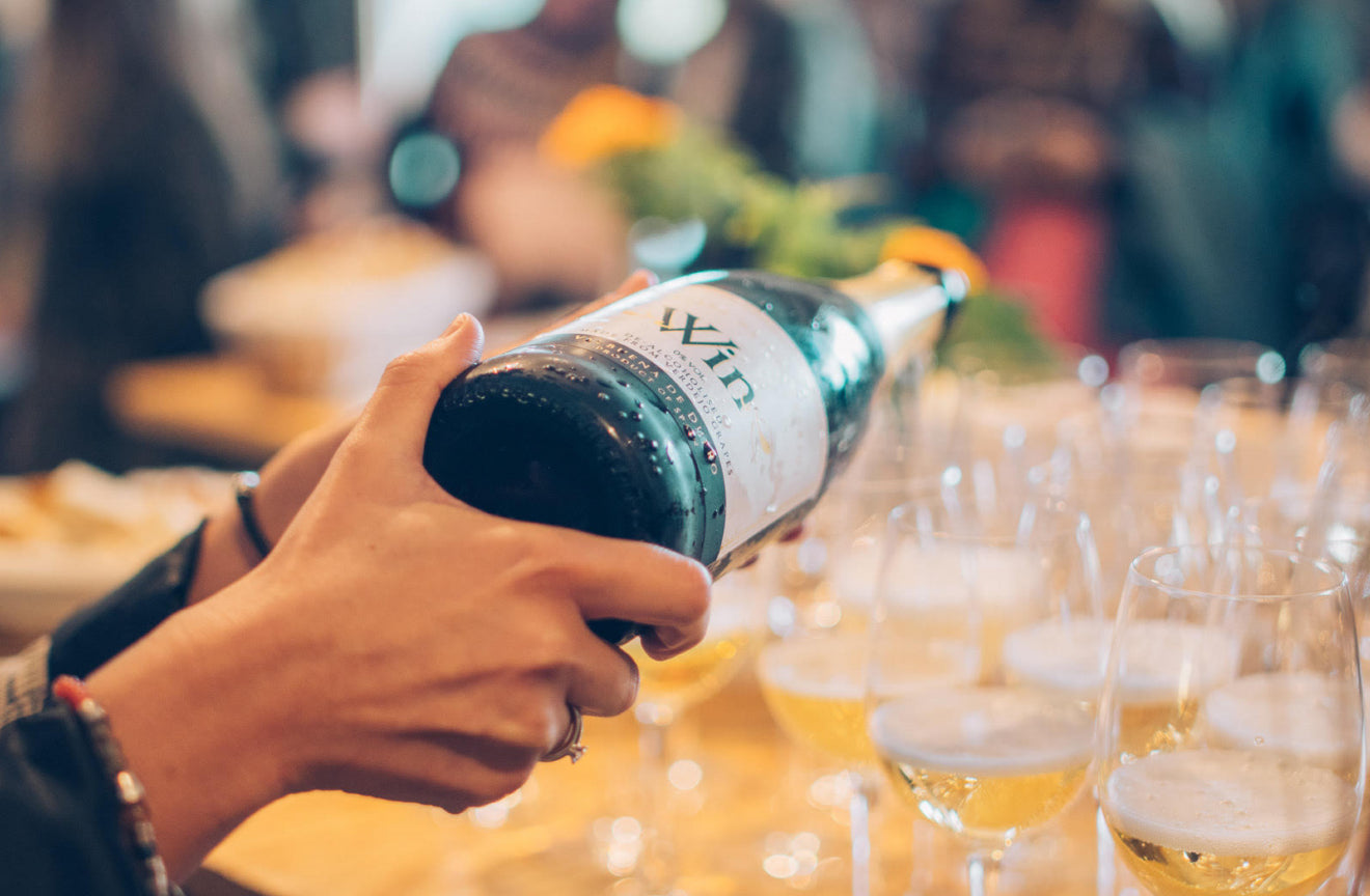 Bodega Win Launches in the UK