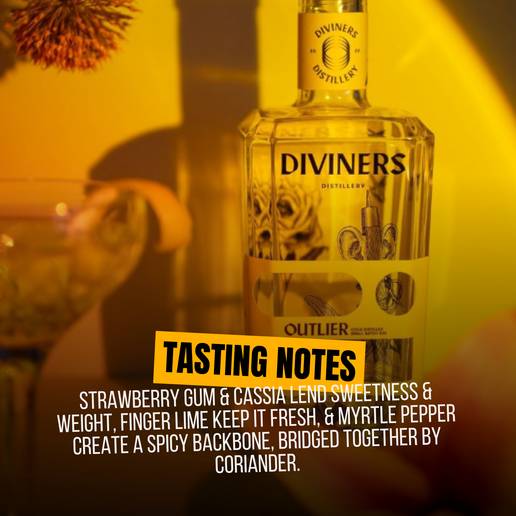 Diviners Outlier Australian Gin 70cl 46% ABV