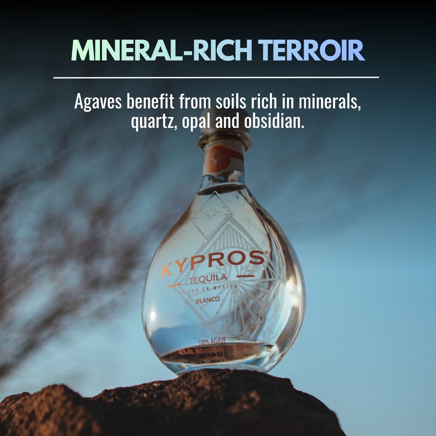 Kypros Blanco 100% Agave Tequila — Kosher Certified
