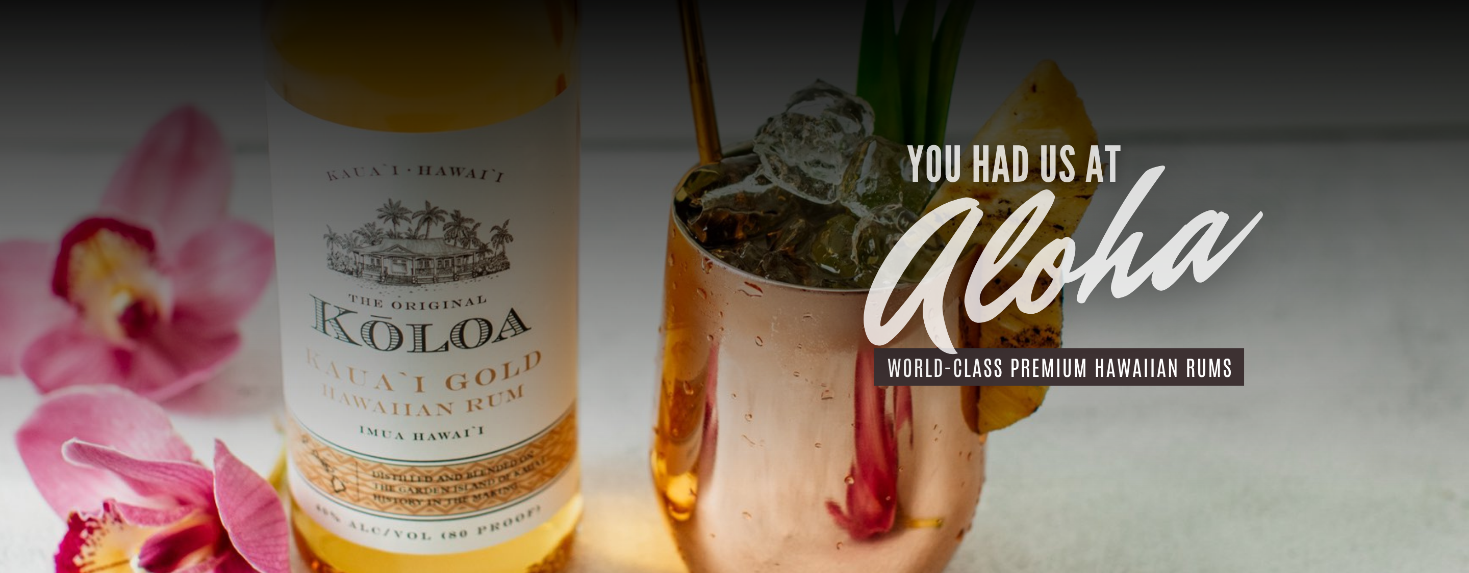 Desktop Slider Image